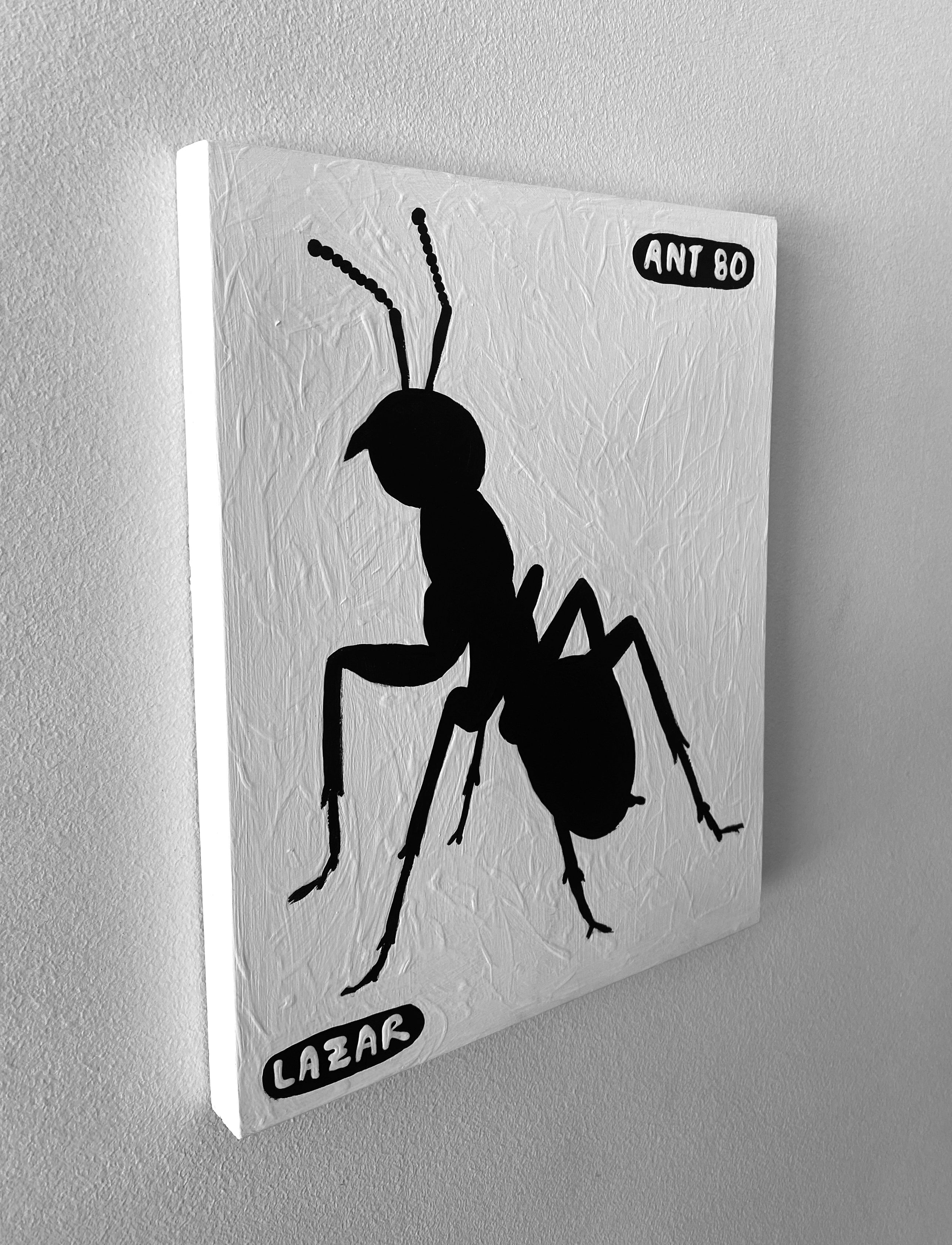 Ant #80