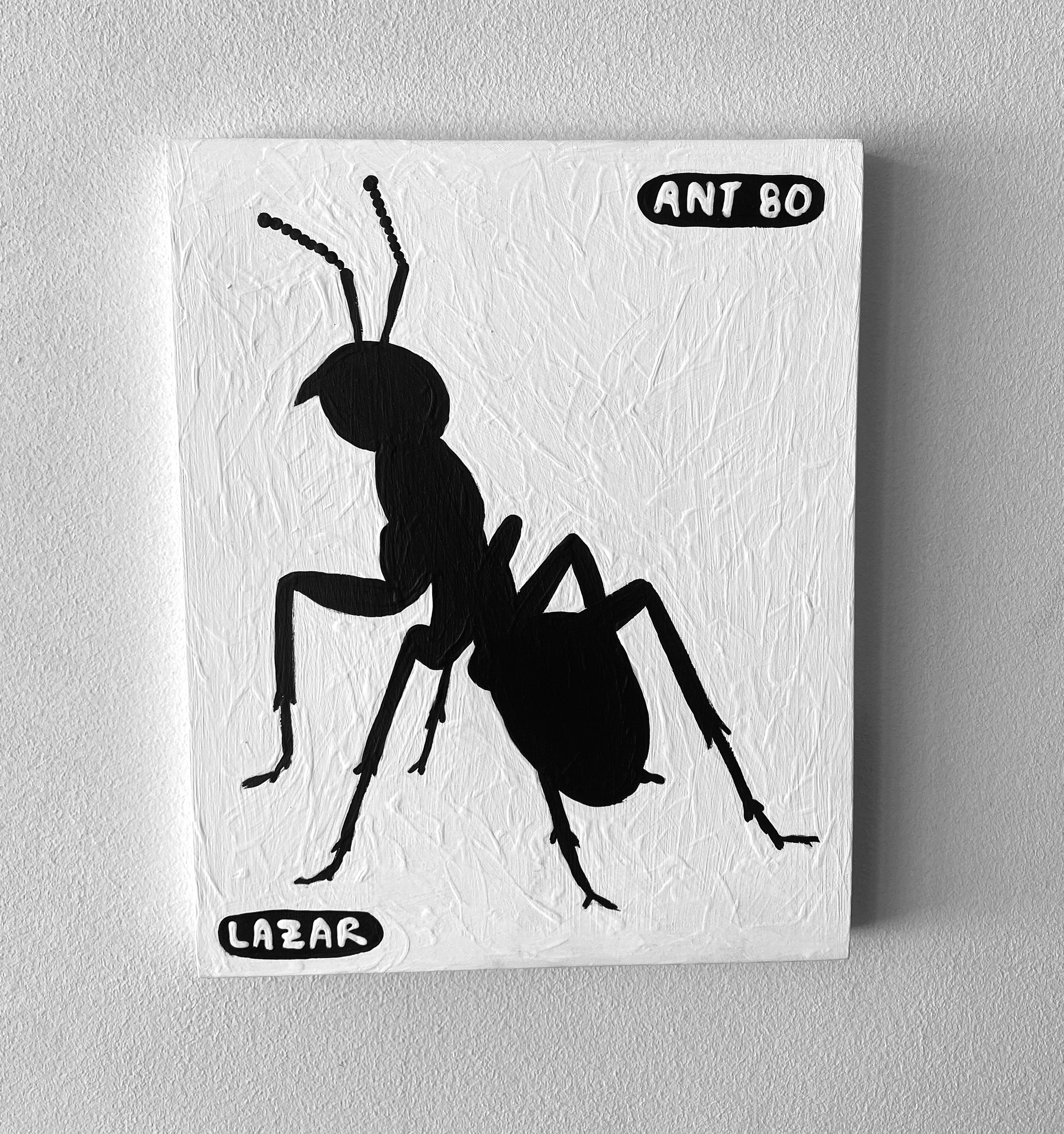 Ant #80