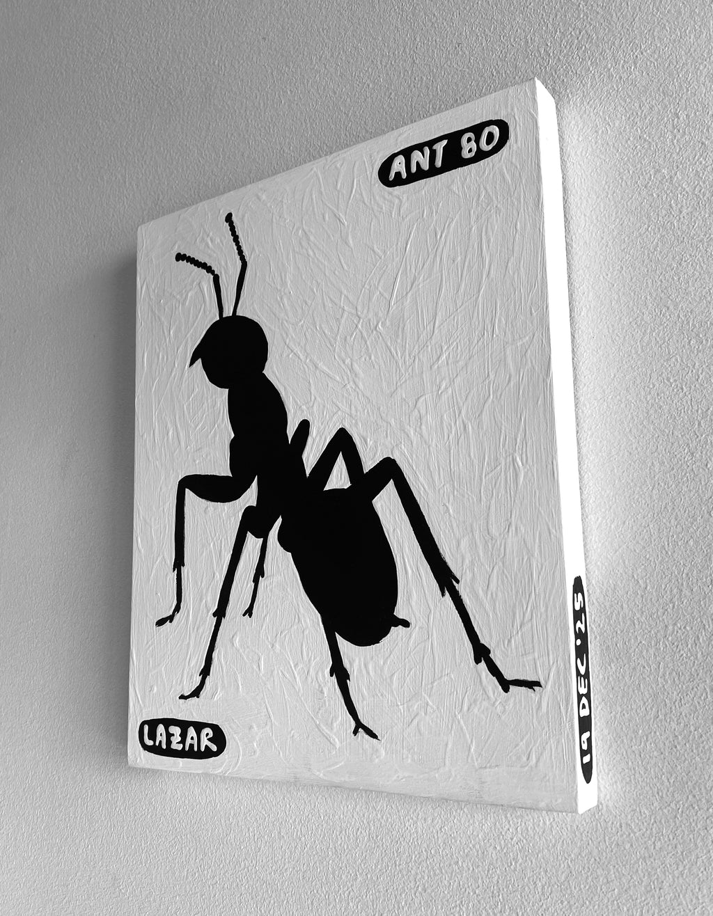 Ant #80