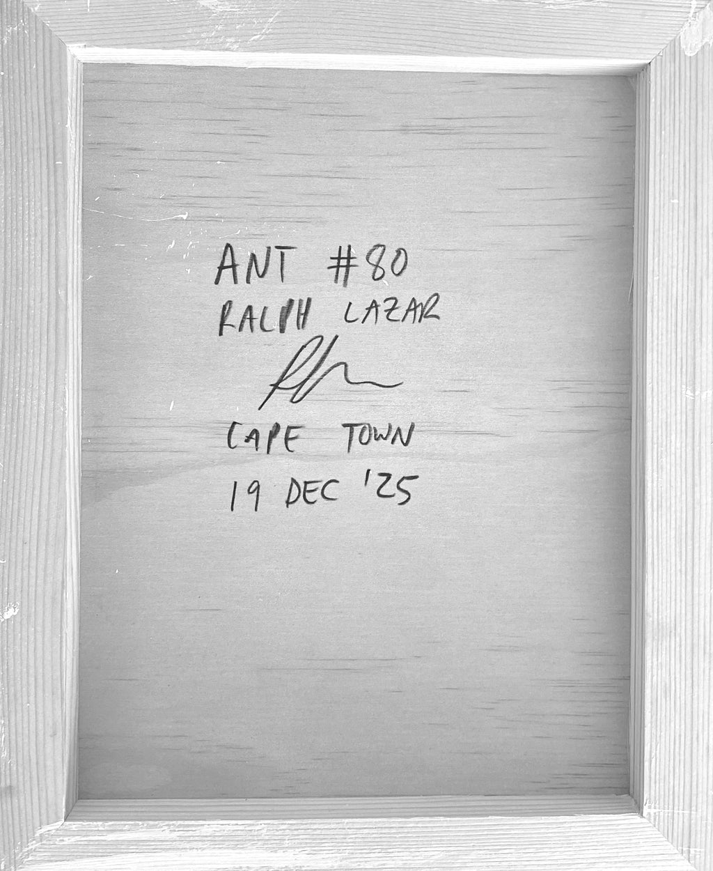 Ant #80