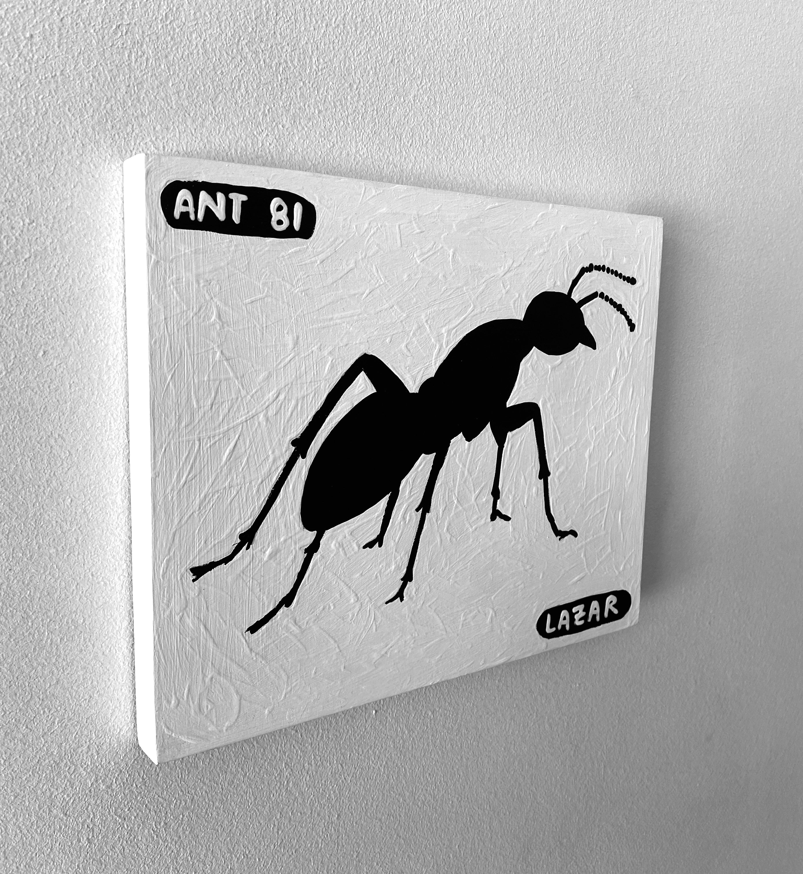 Ant #81