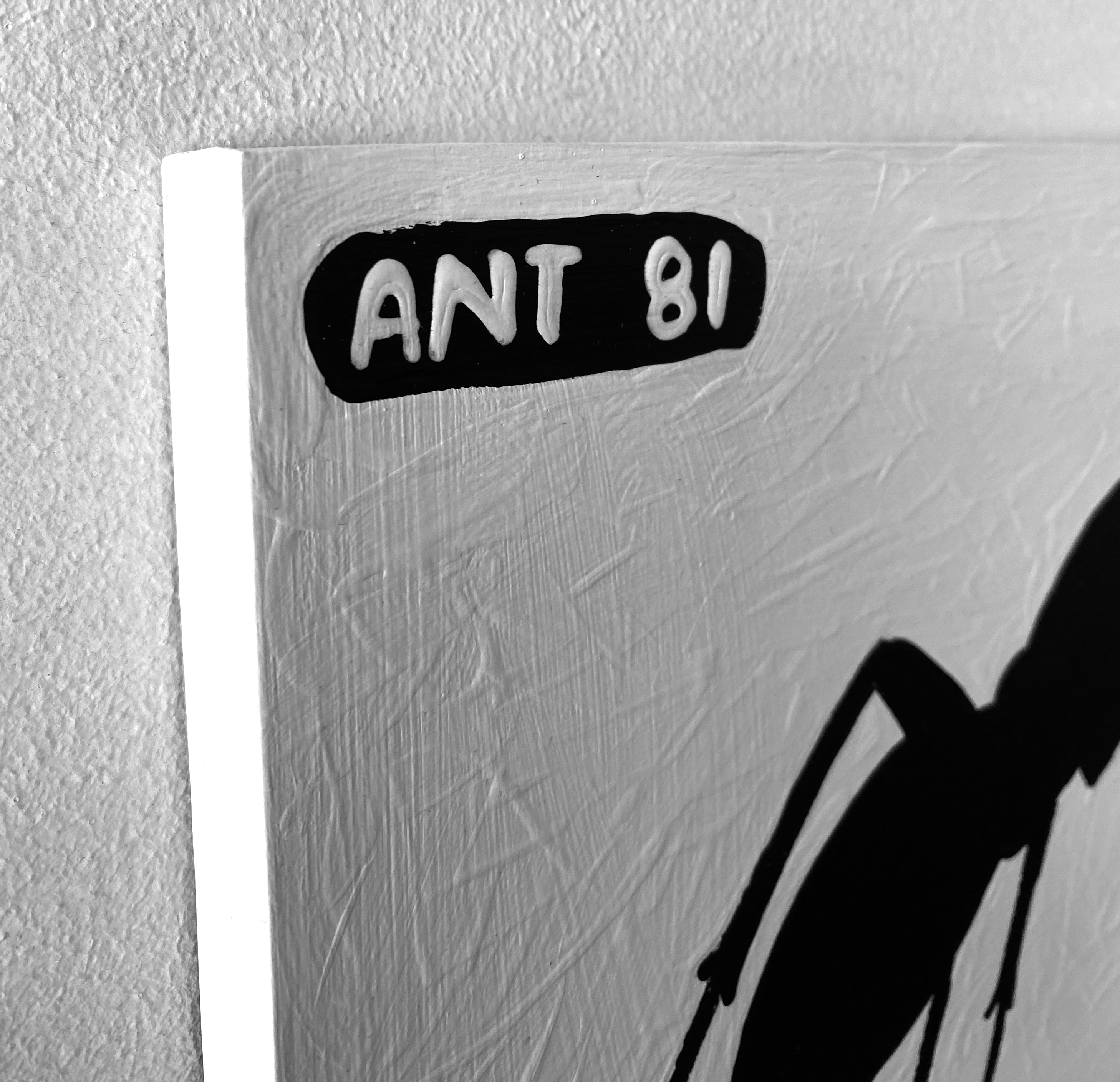 Ant #81