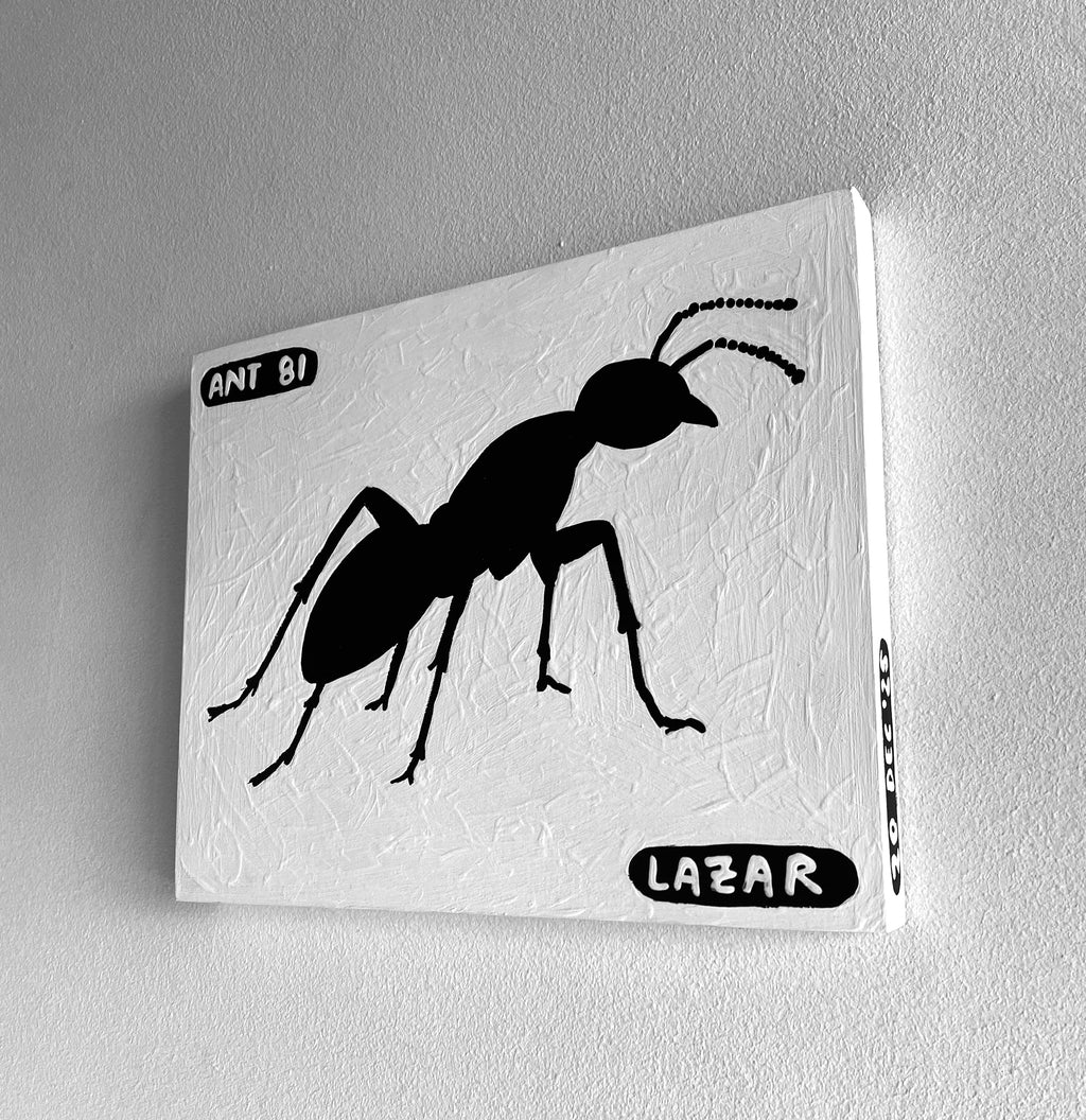 Ant #81