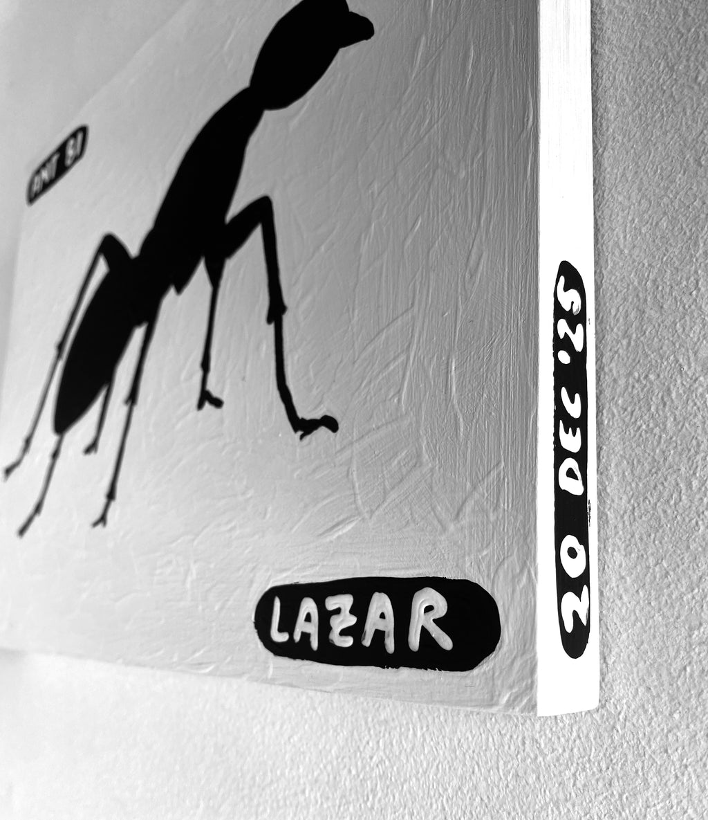 Ant #81