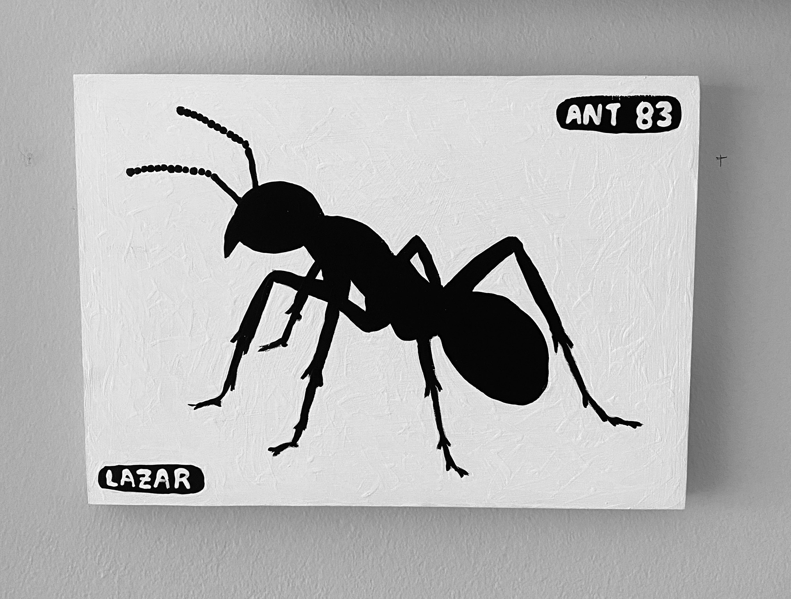 Ant #83