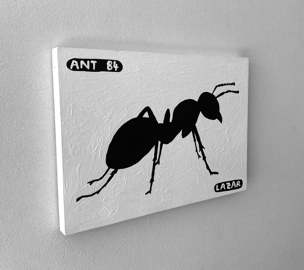 Ant #84