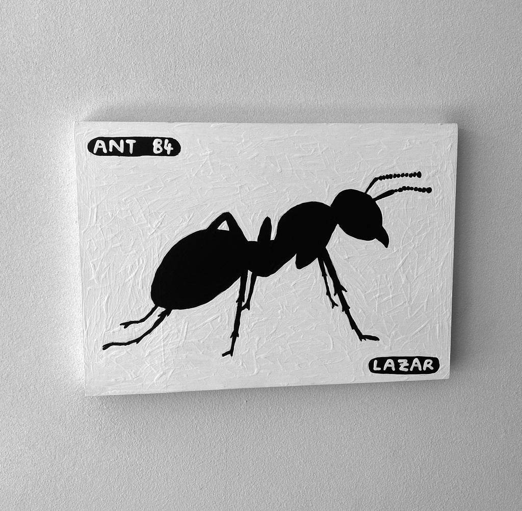 Ant #84
