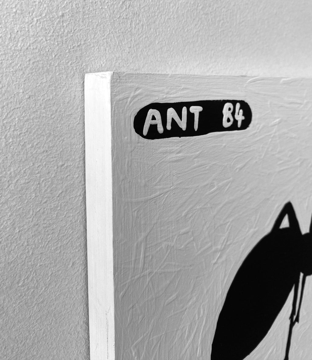 Ant #84