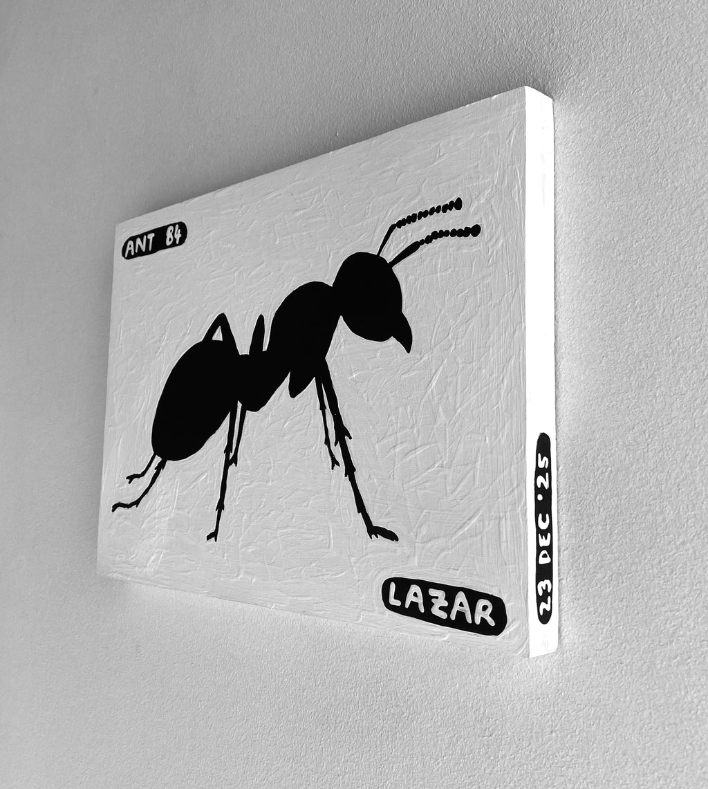 Ant #84