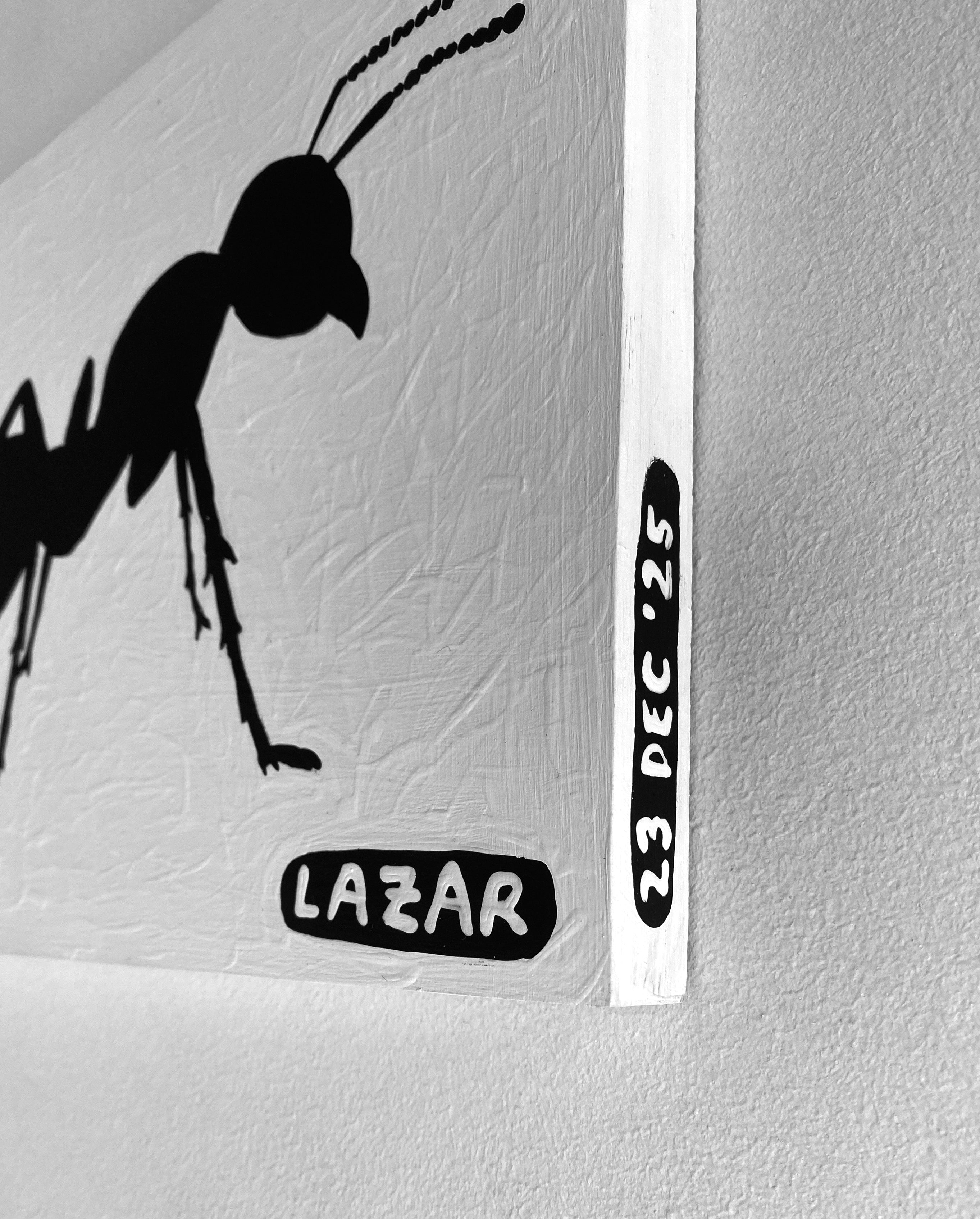 Ant #84