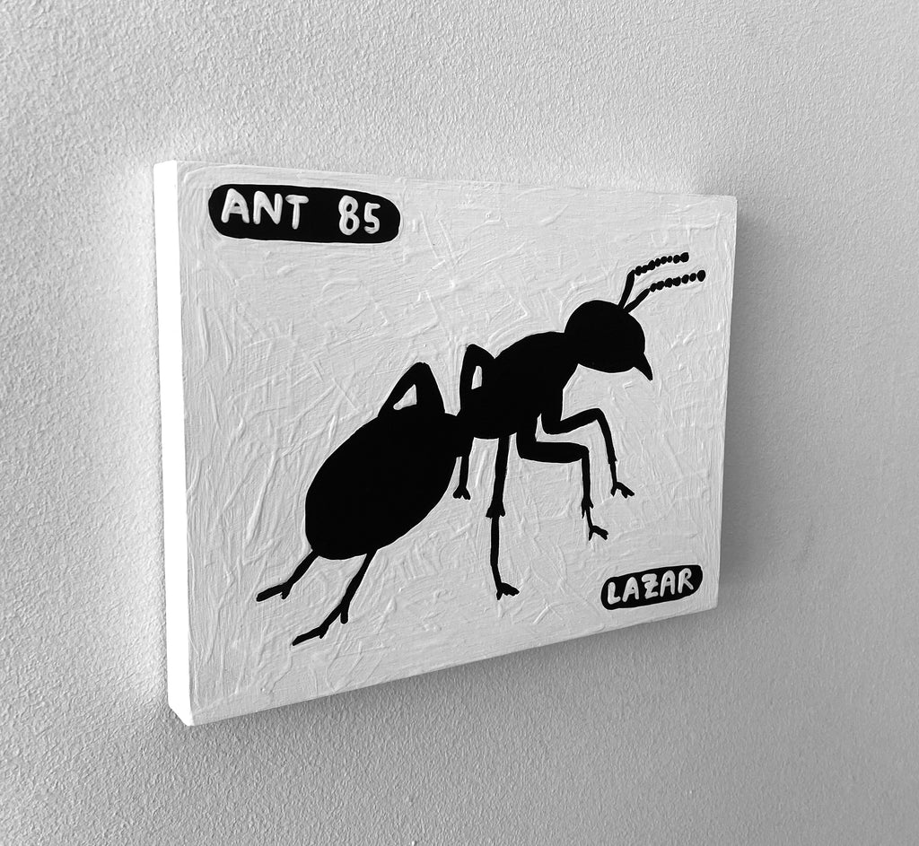 Ant #85