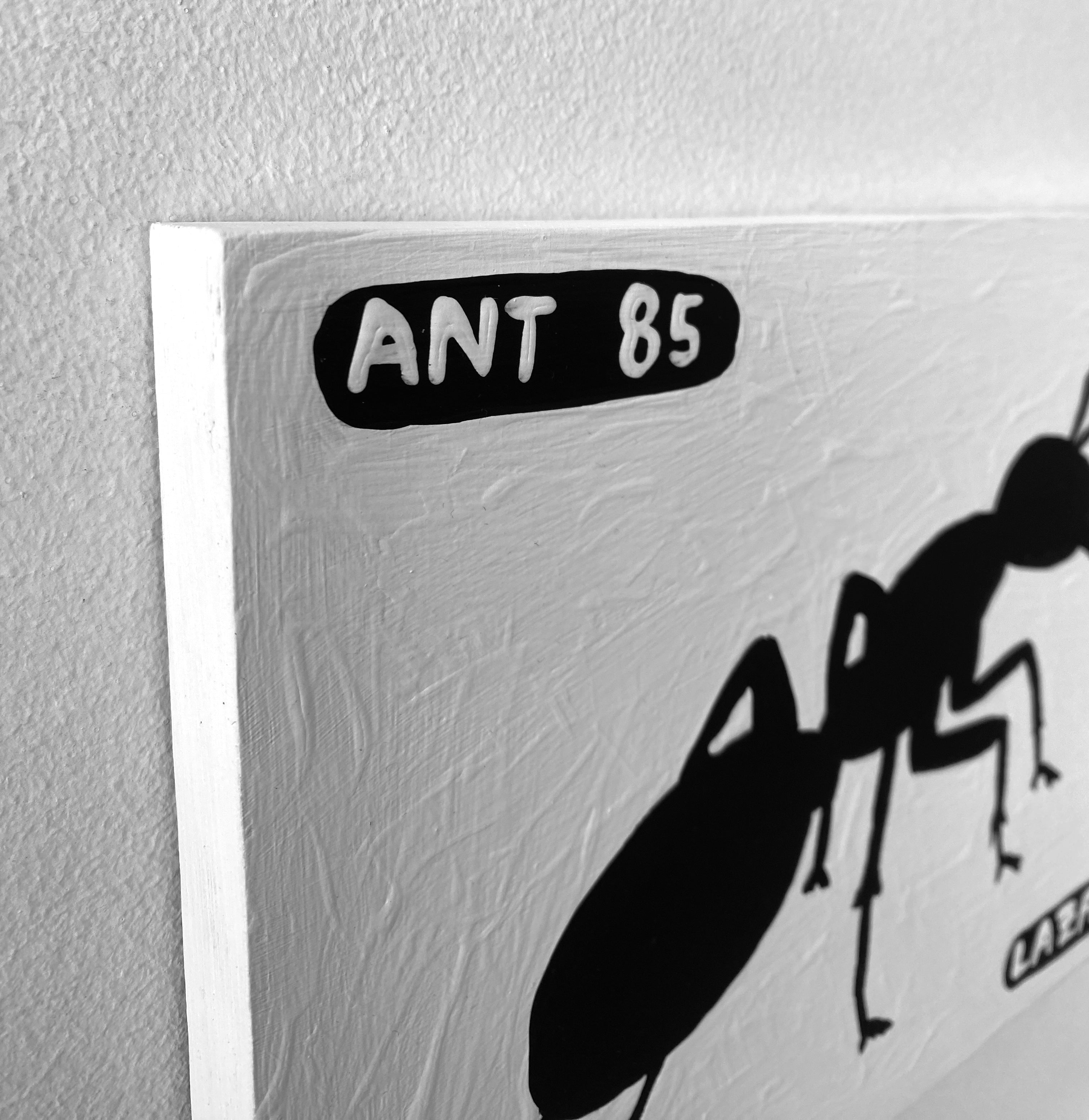 Ant #85