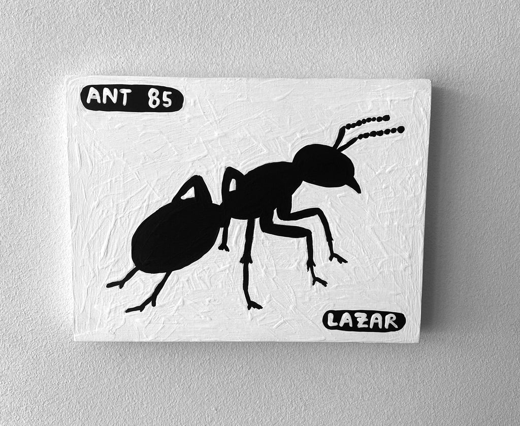 Ant #85