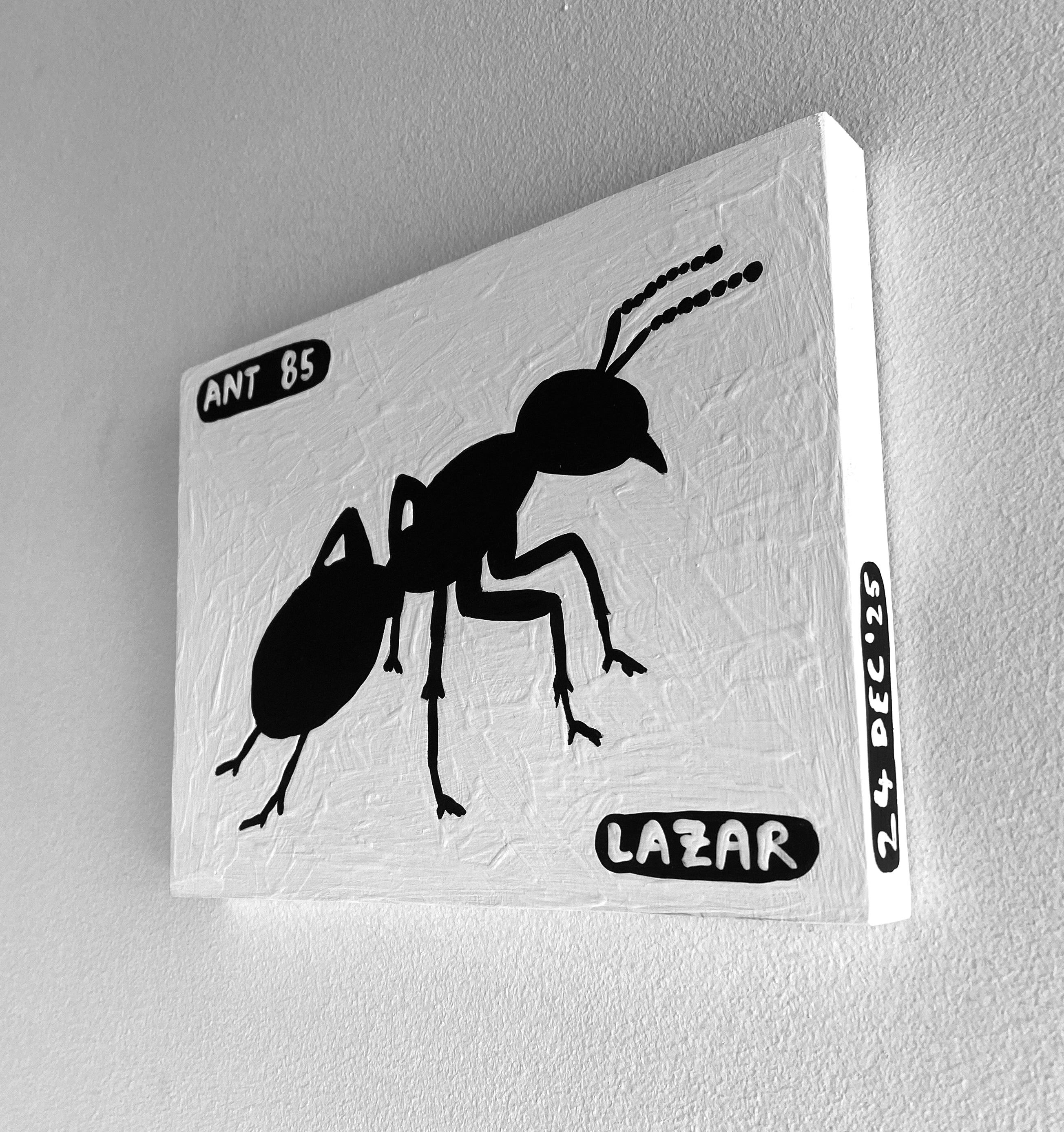 Ant #85