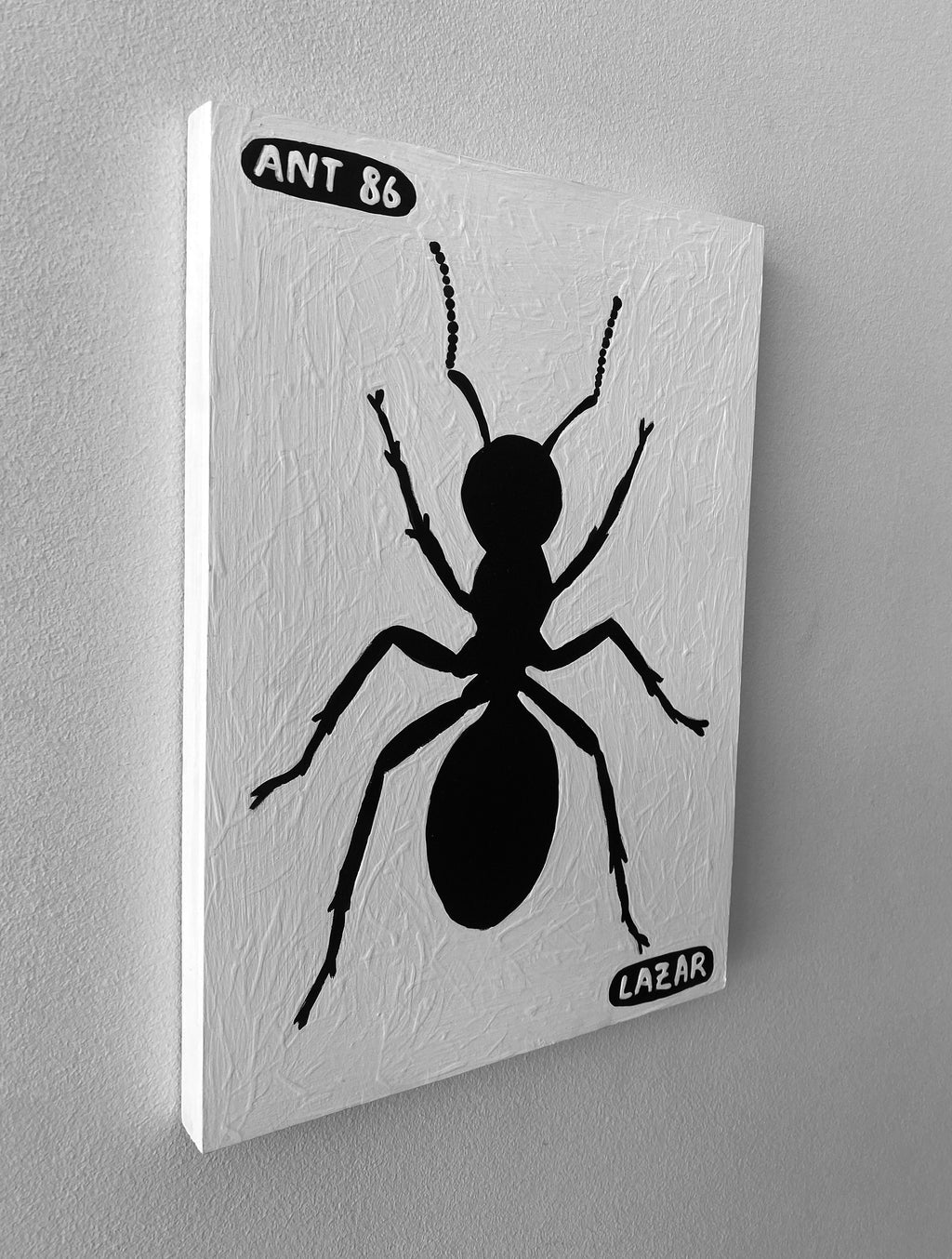 Ant #86