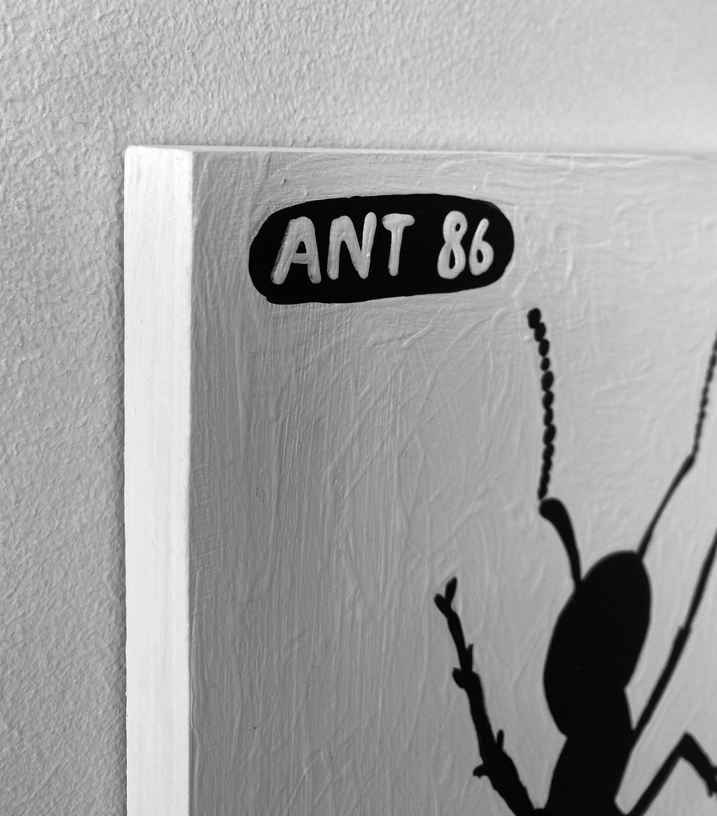 Ant #86