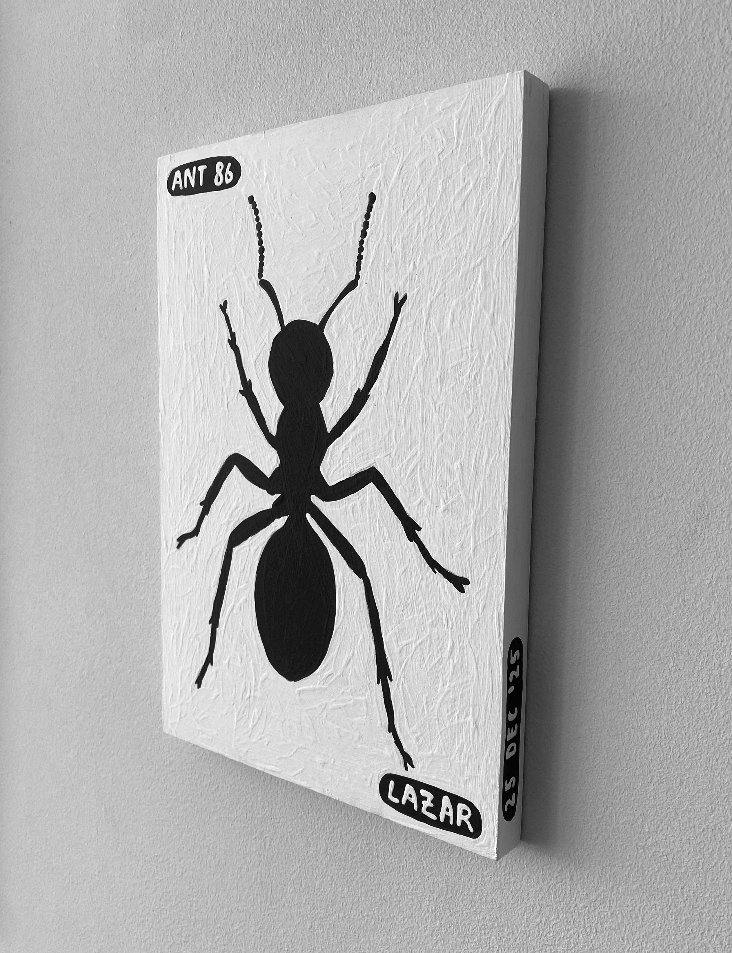Ant #86