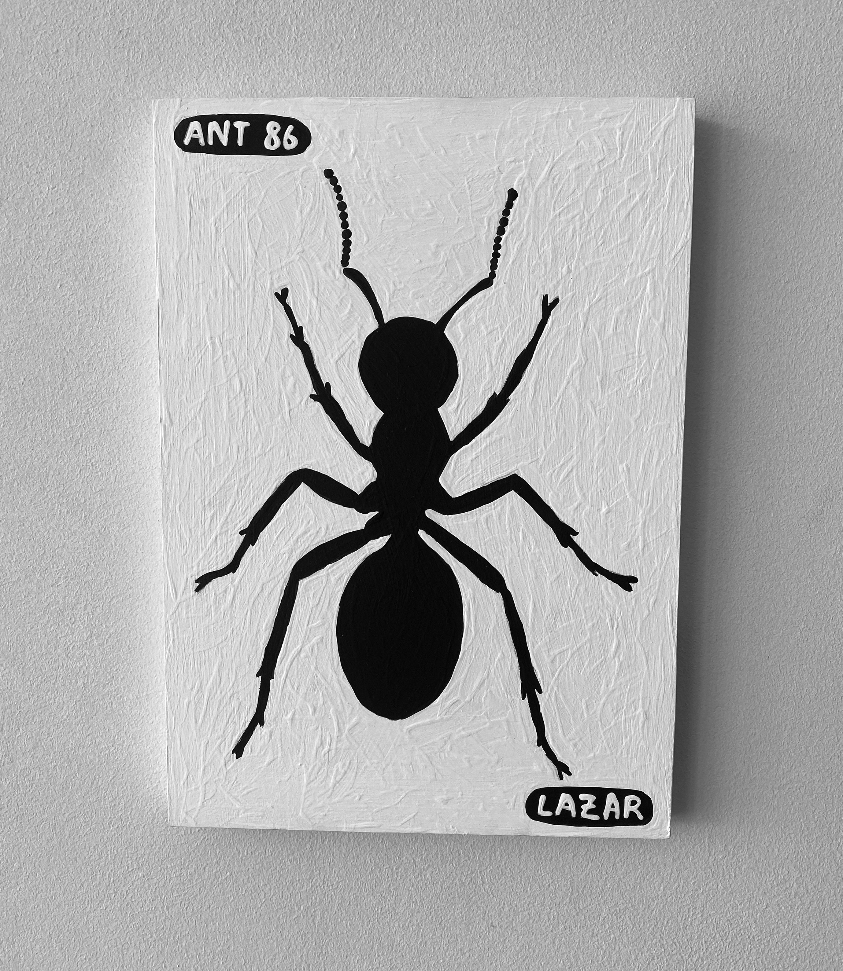 Ant #86