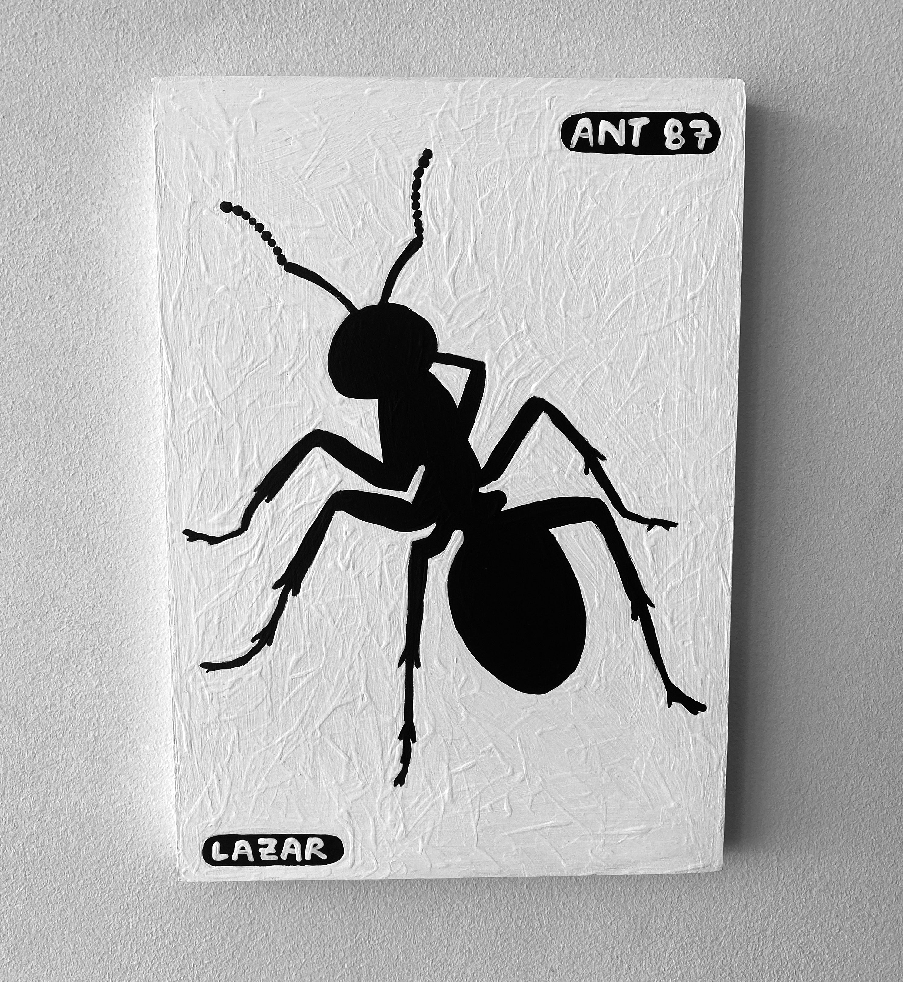 Ant #87