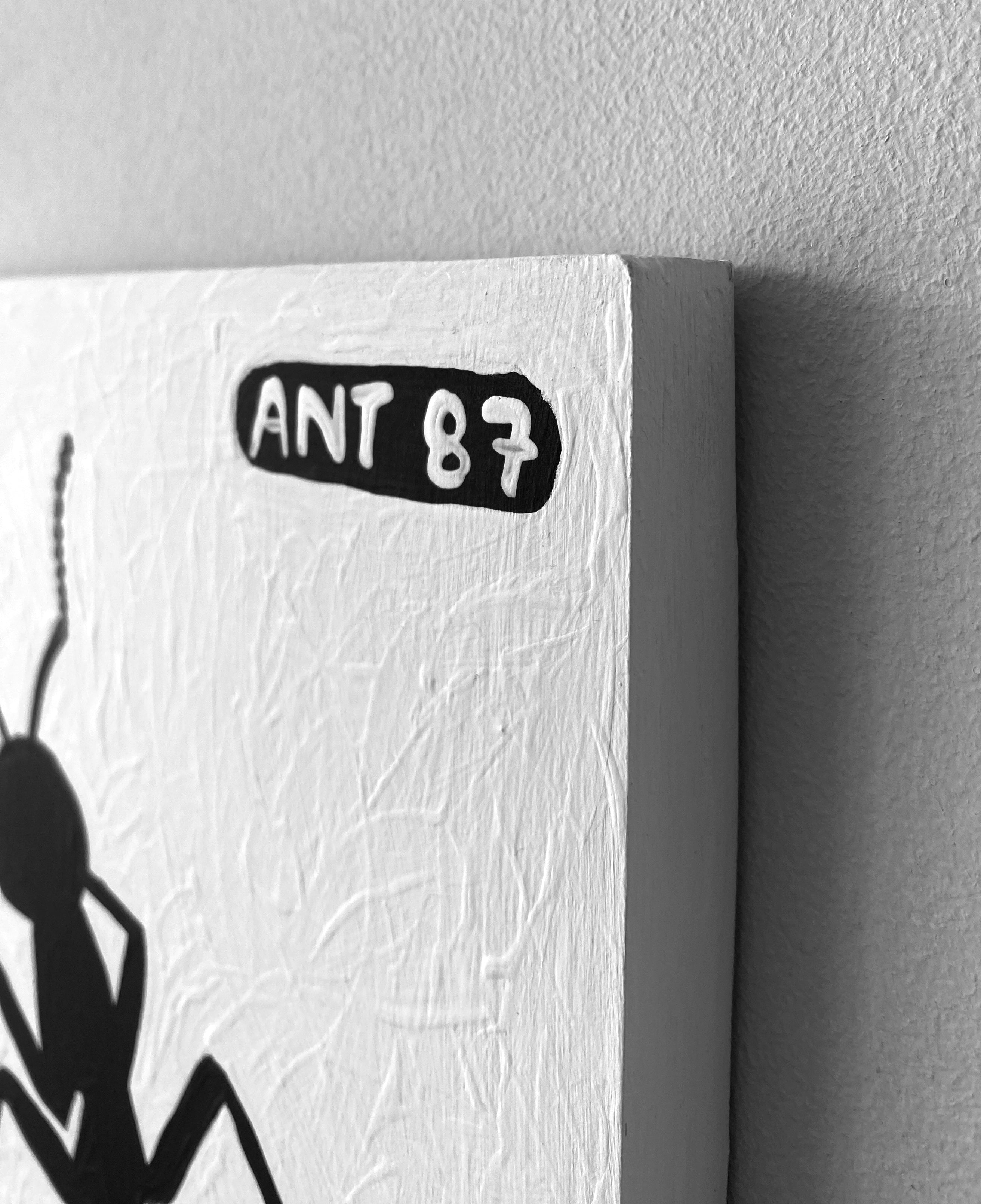 Ant #87