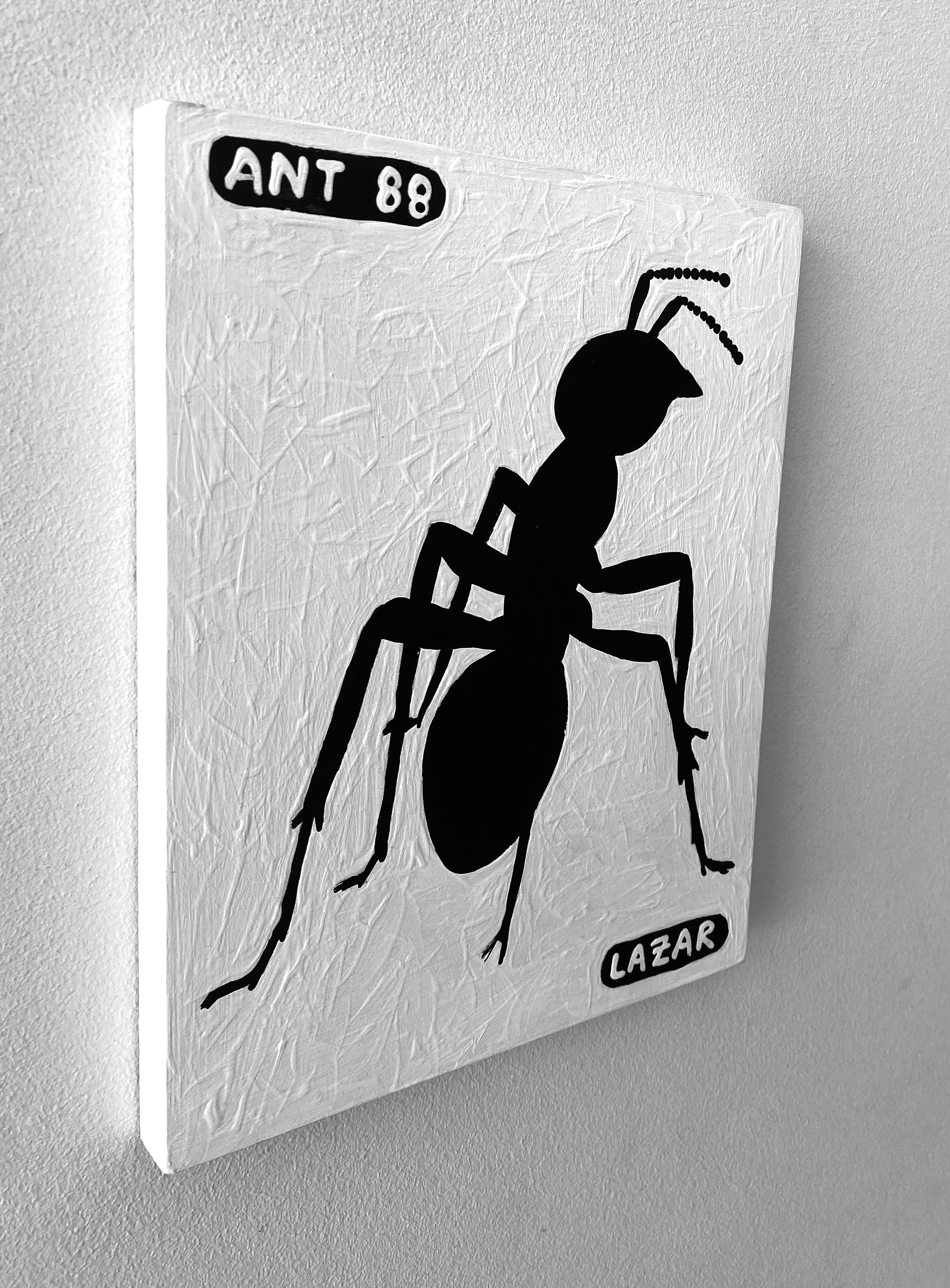 Ant #88