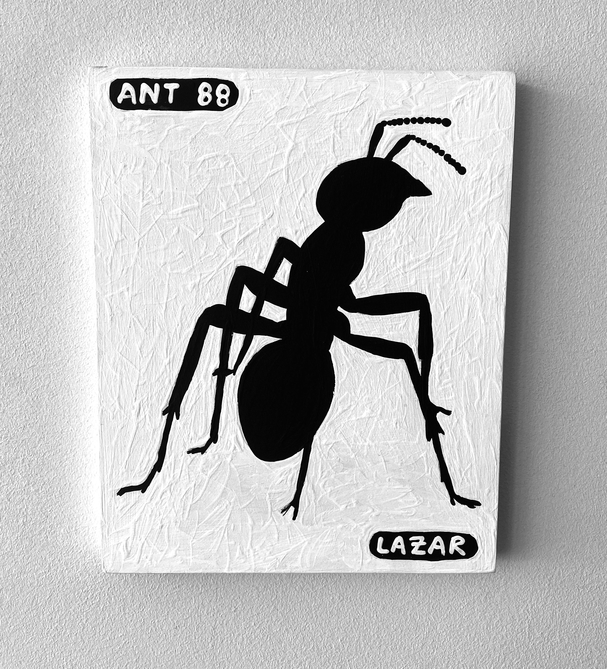 Ant #88
