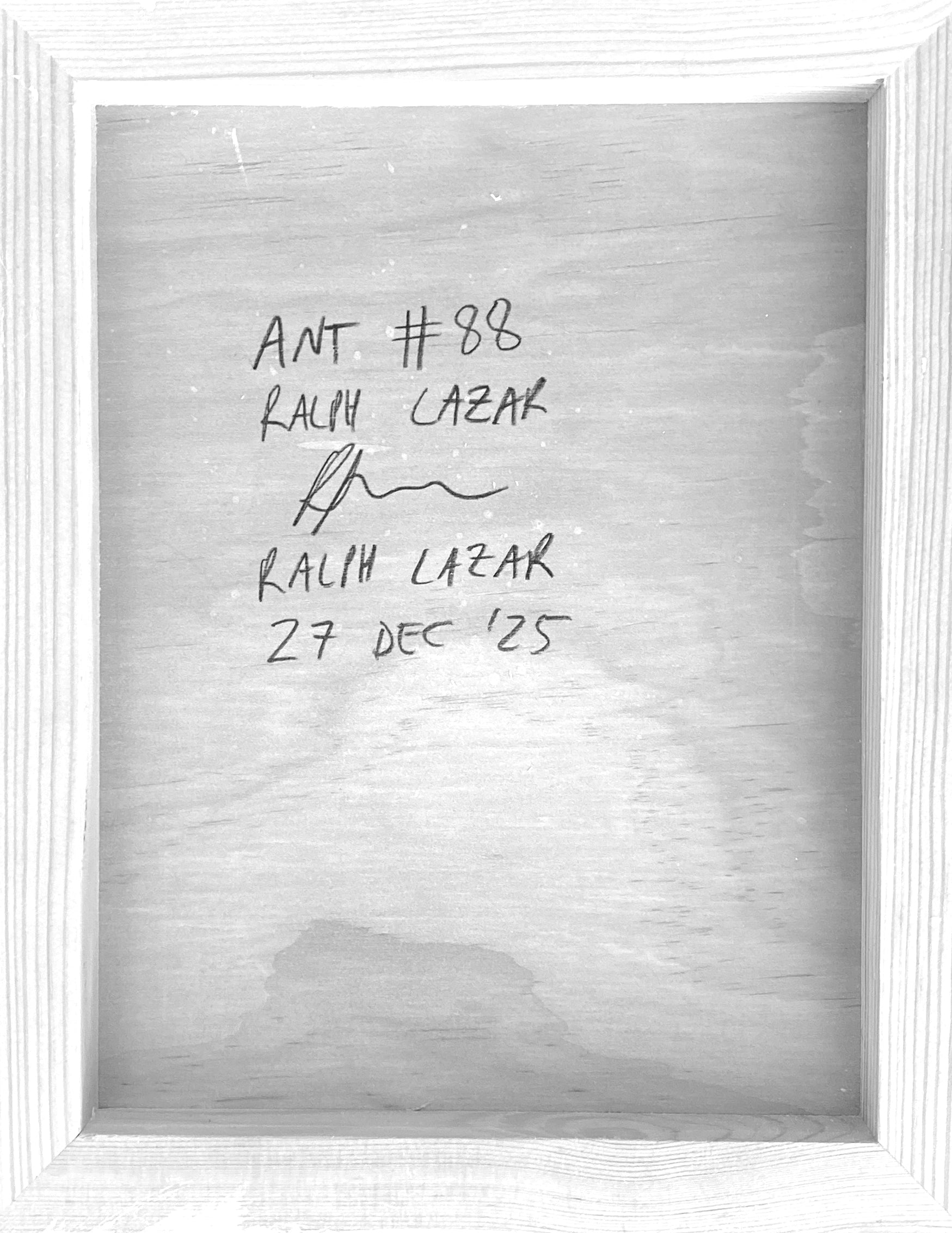 Ant #88