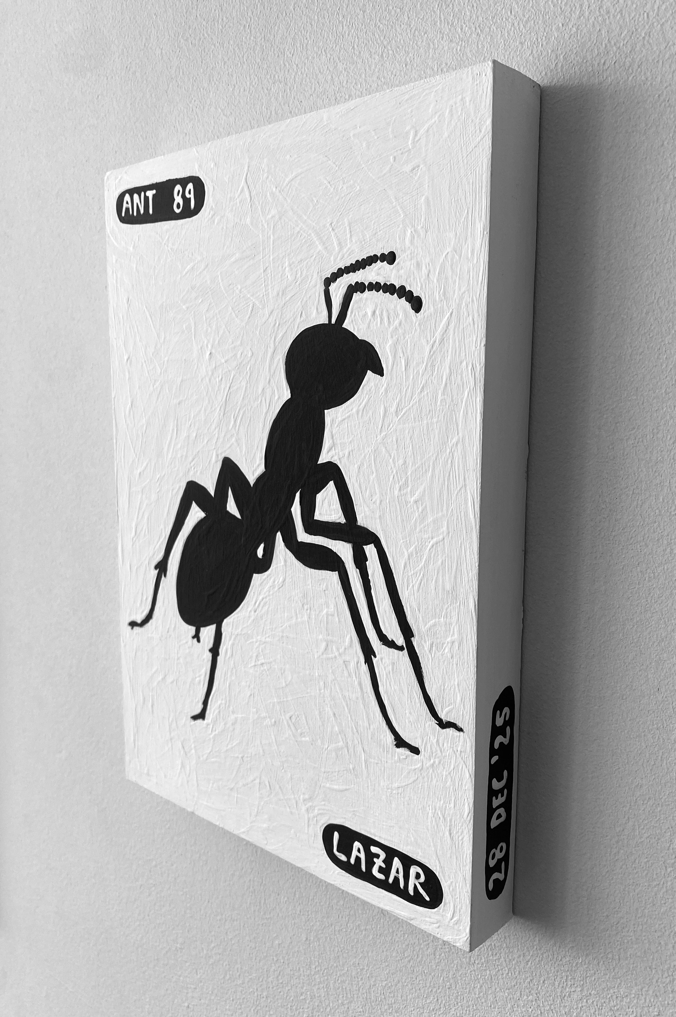 Ant #89