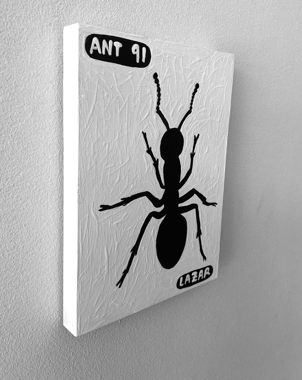 Ant #91