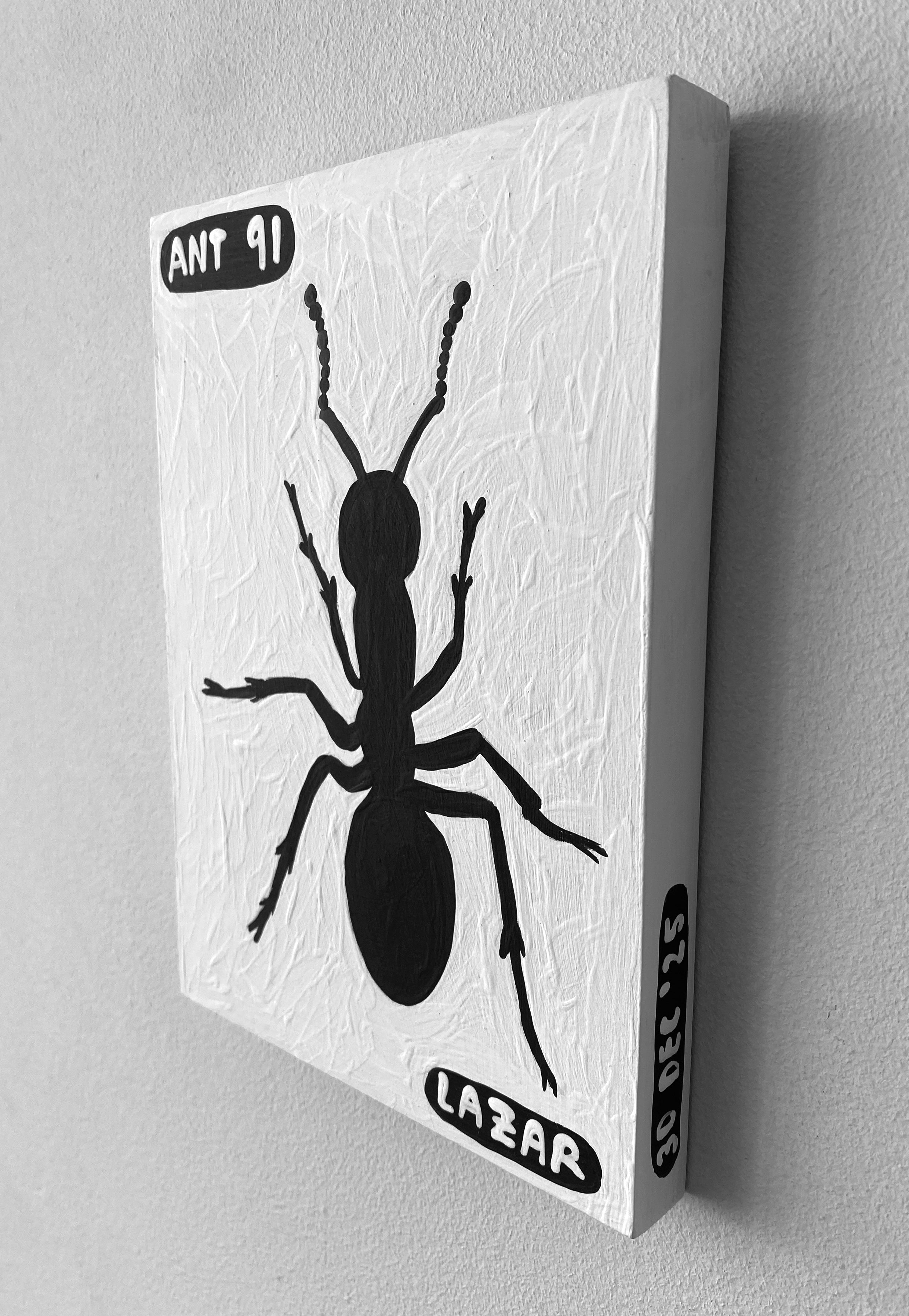 Ant #91