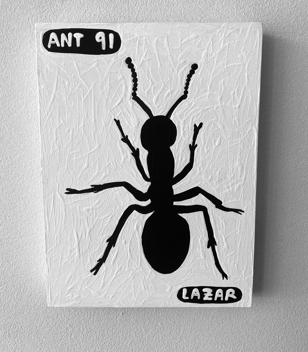 Ant #91