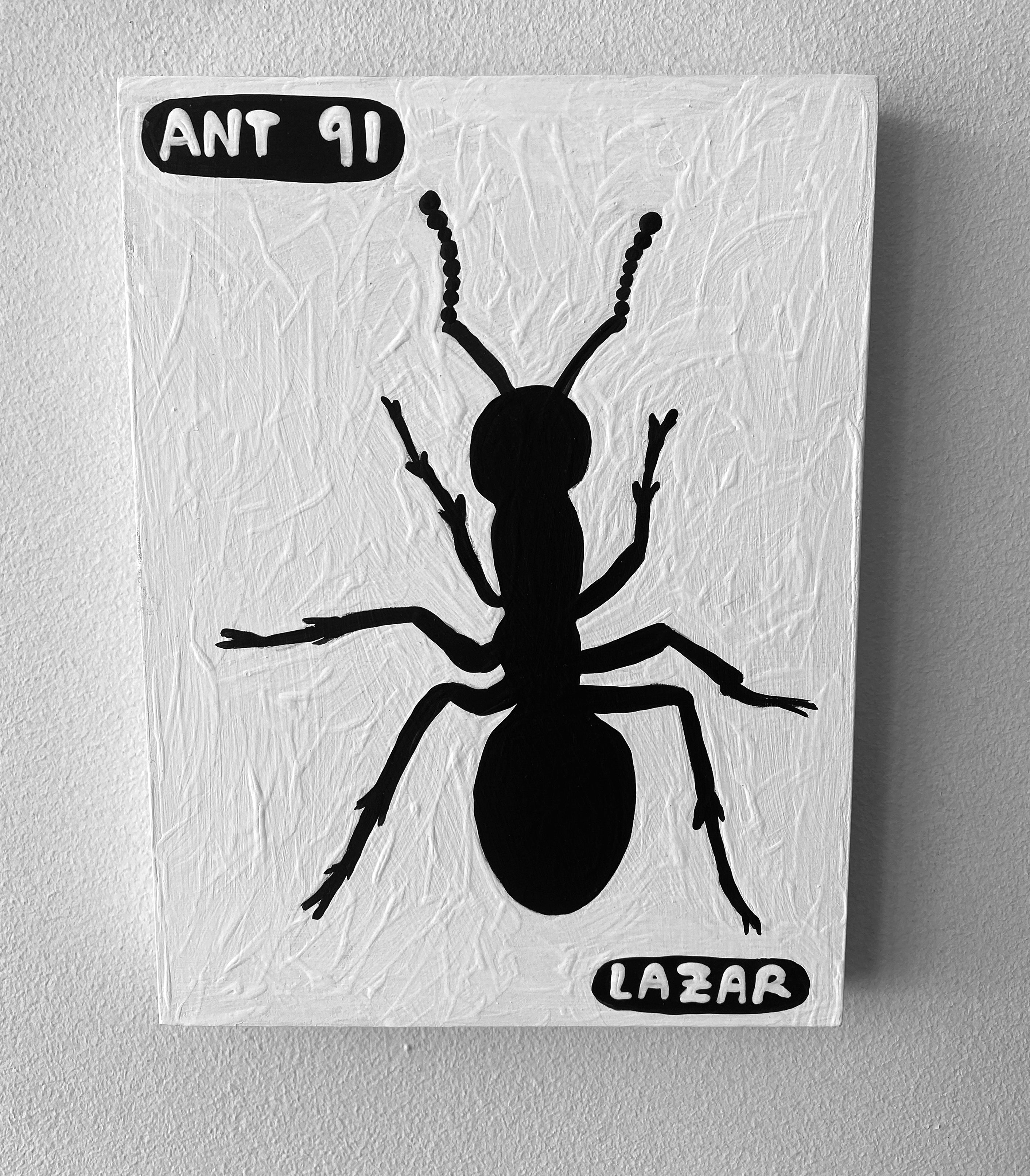 Ant #91