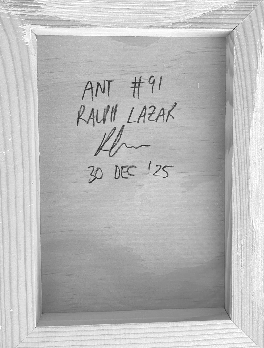 Ant #91