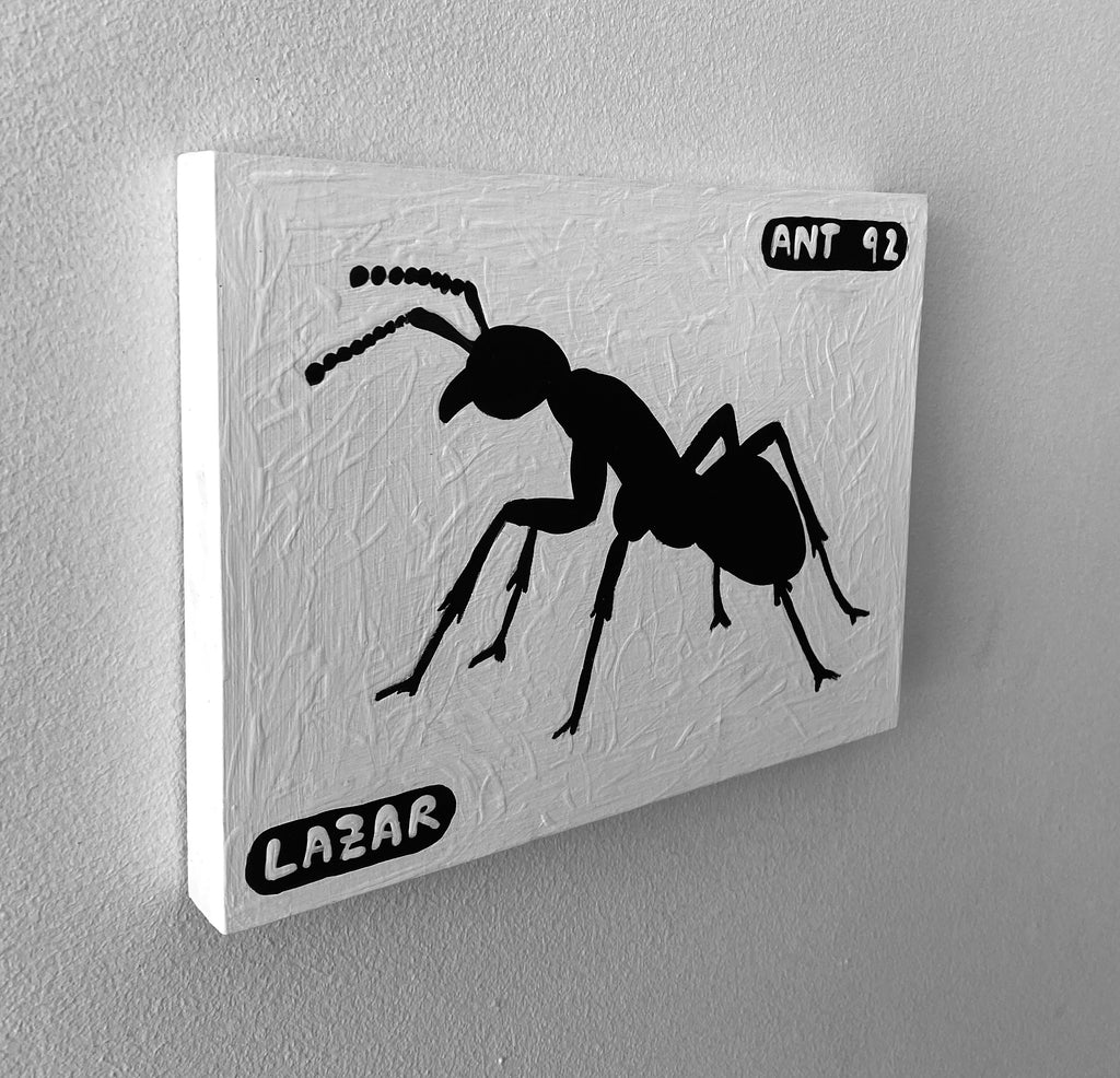Ant #91