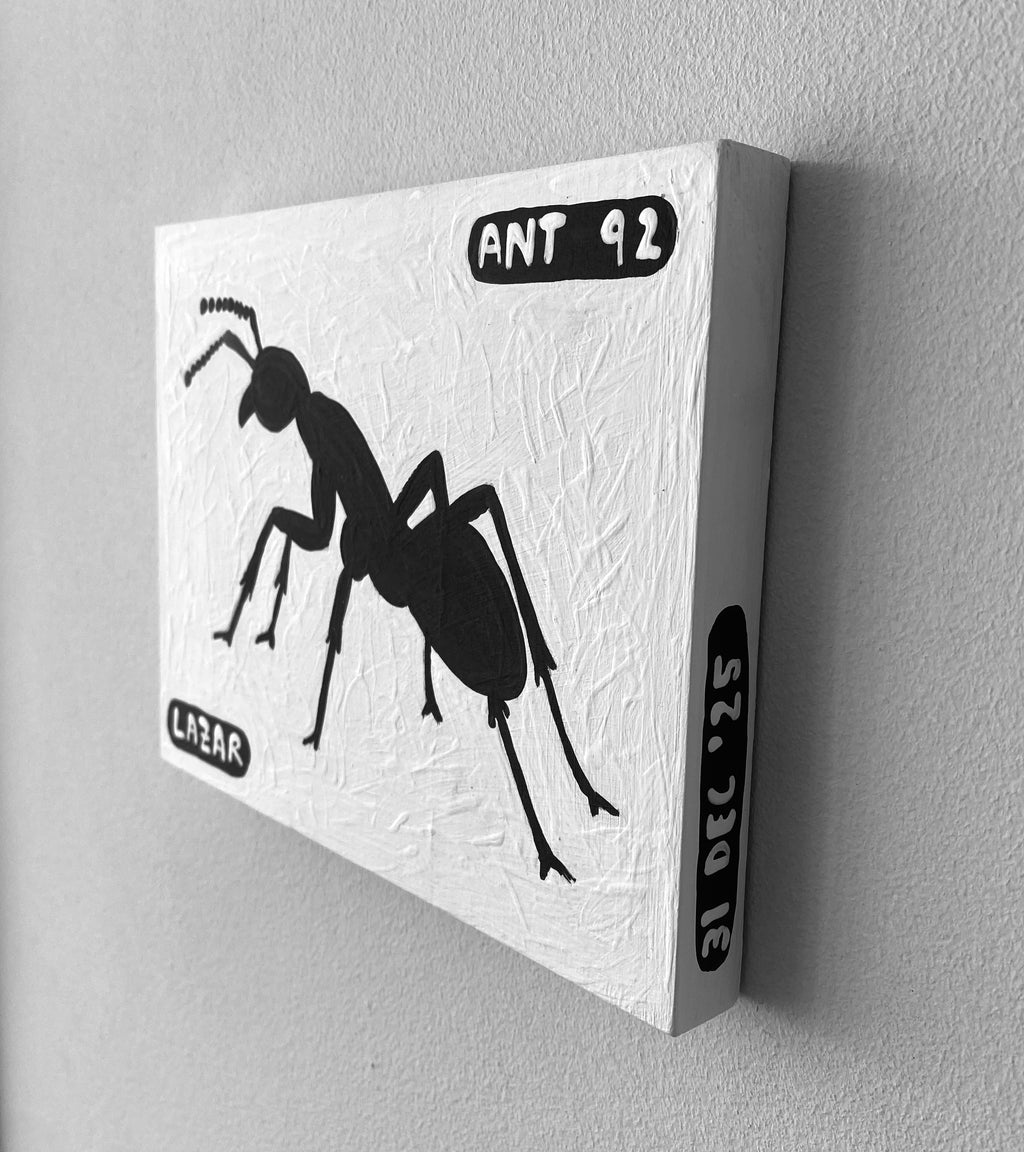Ant #91