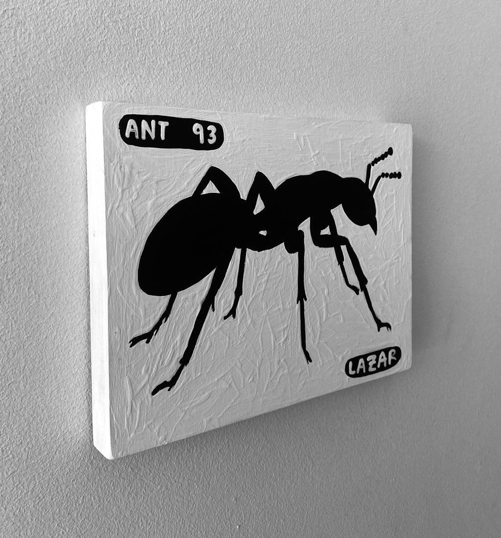 Ant #93
