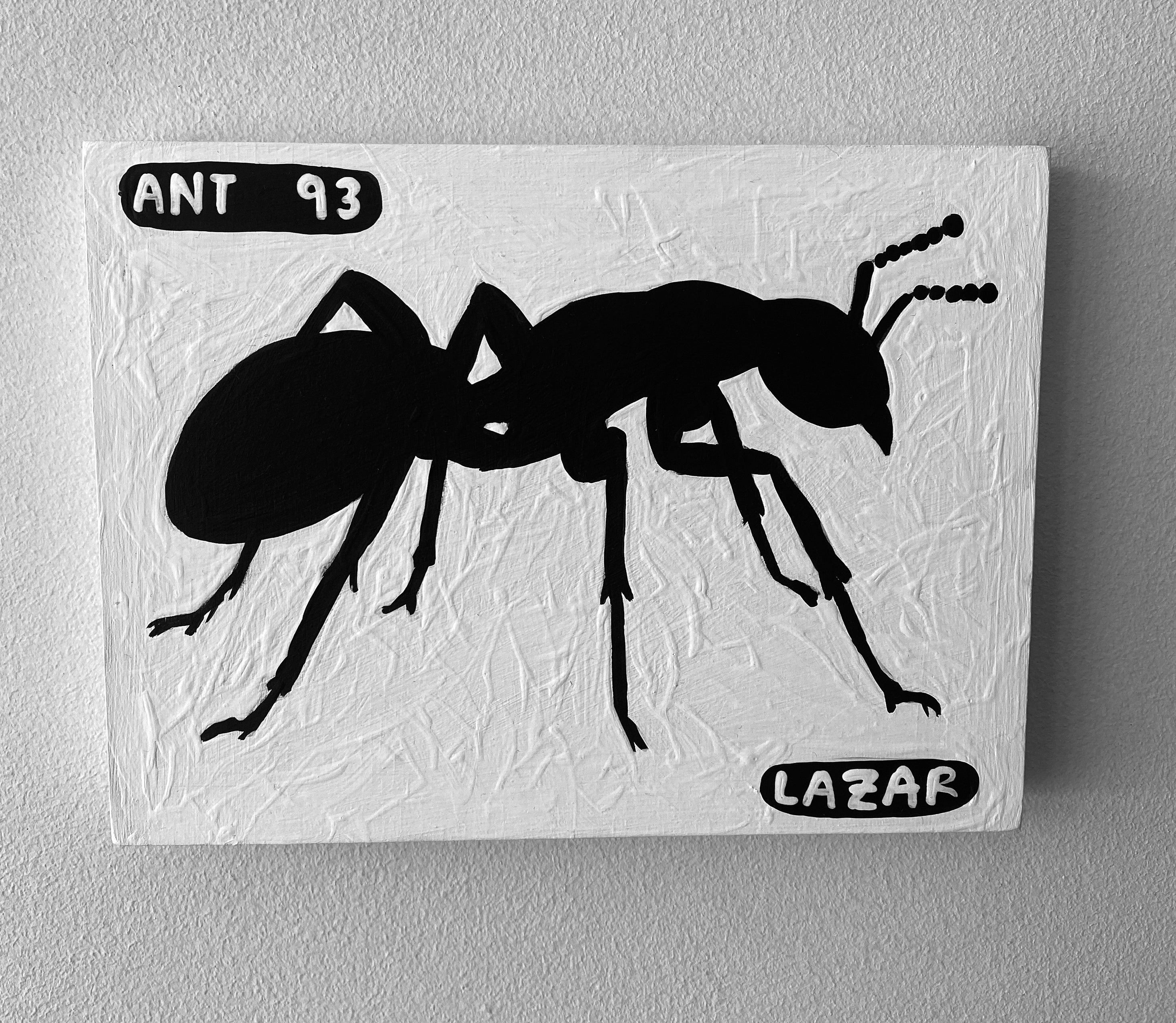 Ant #93