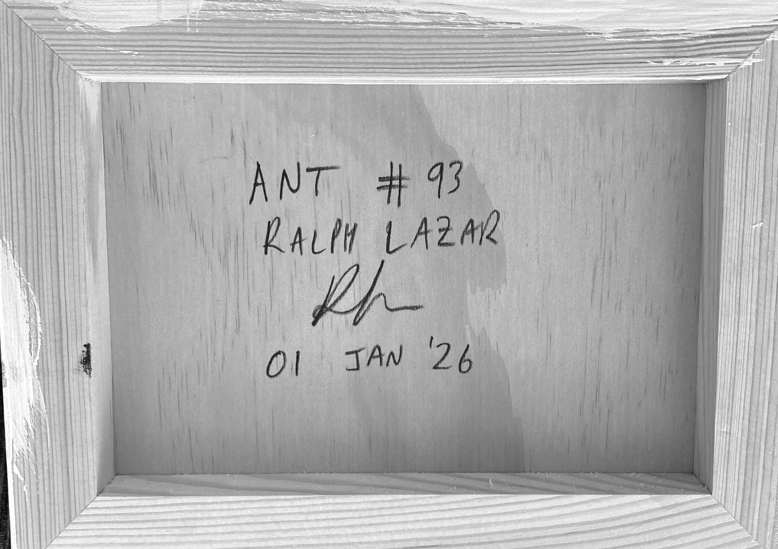 Ant #93