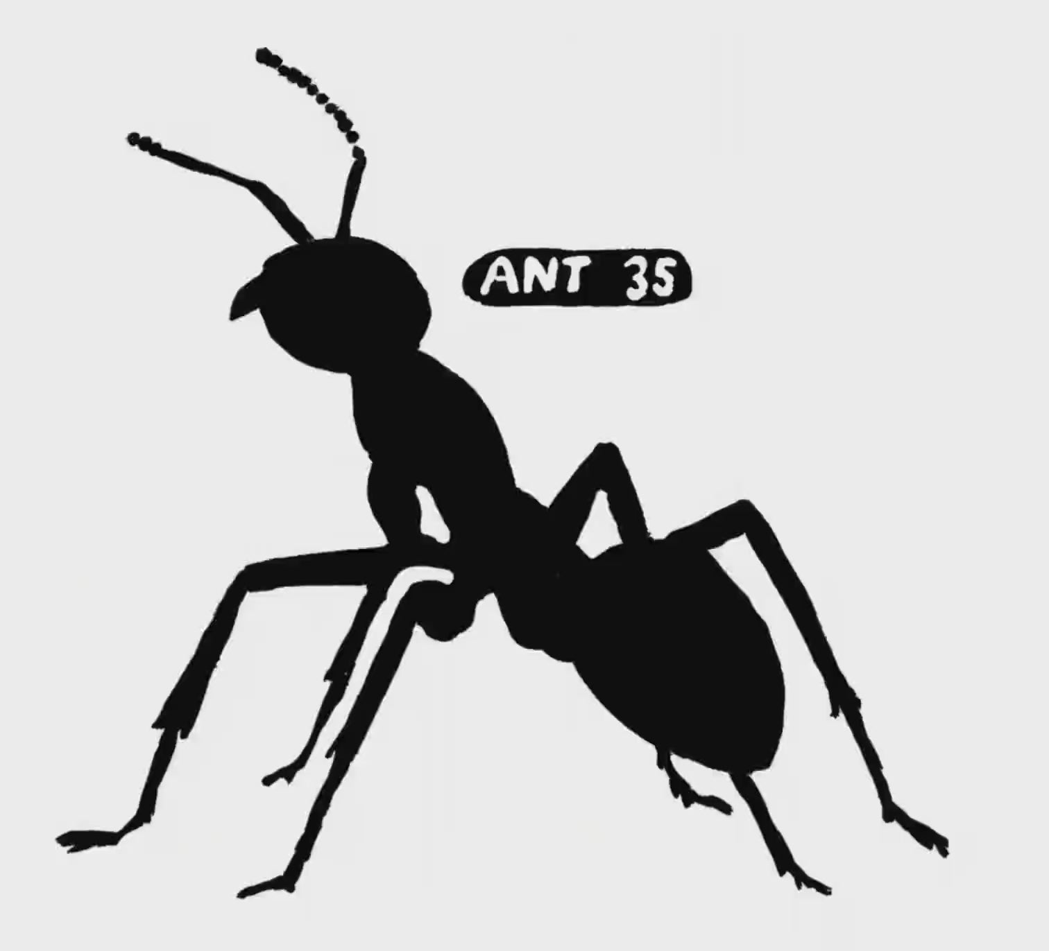 Ant #35