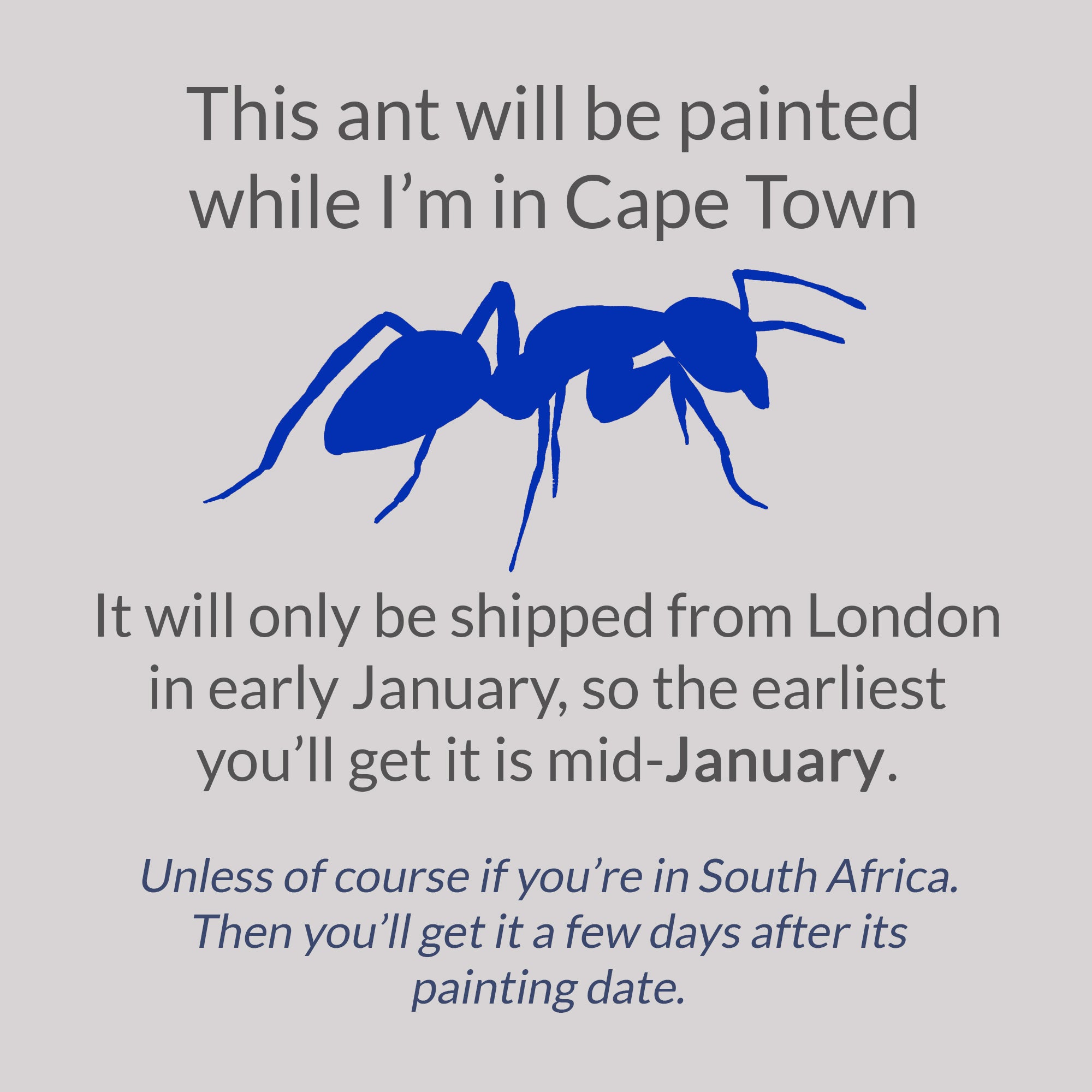 Ant #67